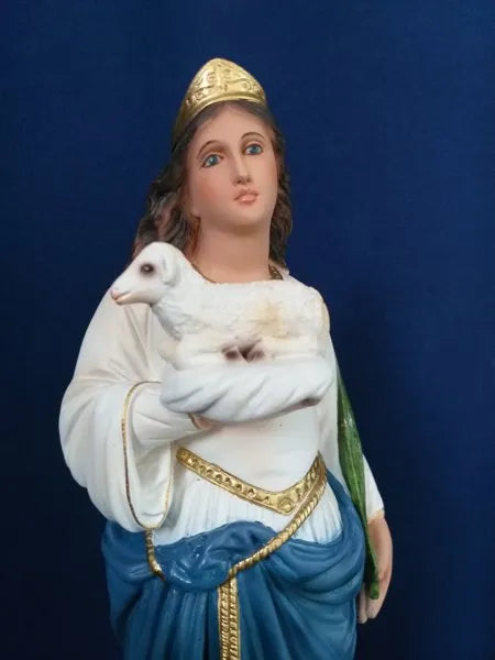 Santa Inês 30 cm